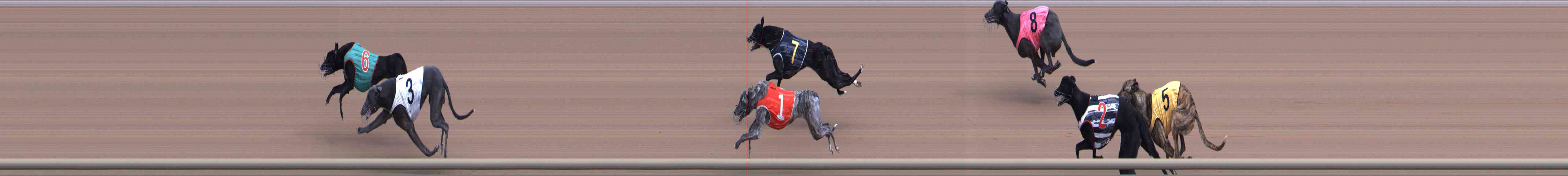 Race result finish photo